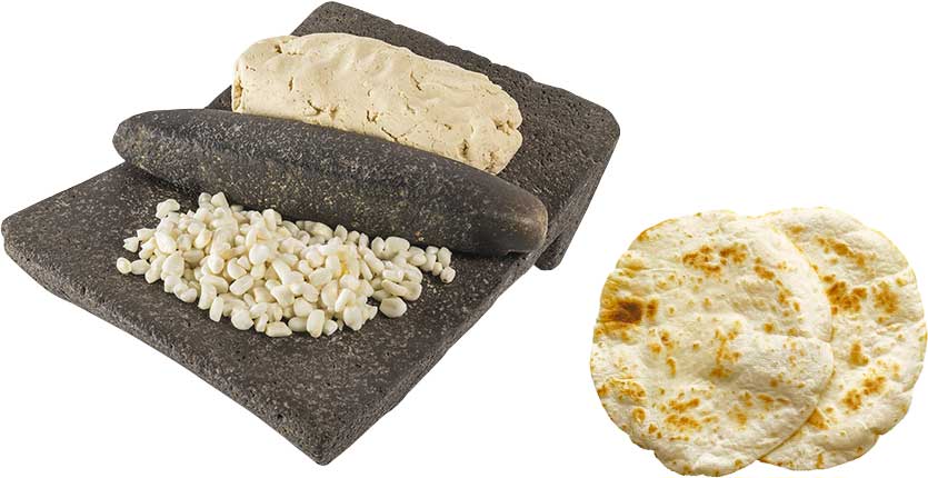 すり鉢メタテとトルティーヤ